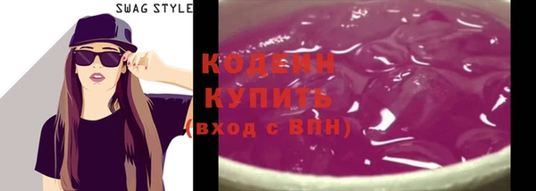 мдпв Гусь-Хрустальный