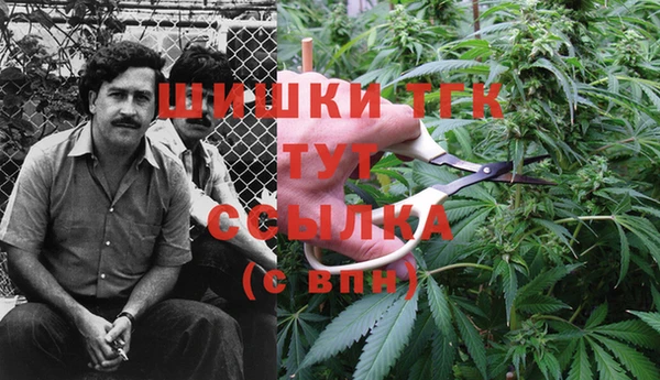 мдпв Гусь-Хрустальный