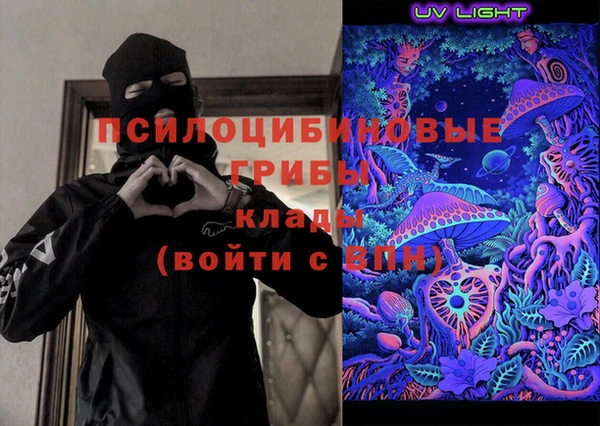 мдпв Гусь-Хрустальный