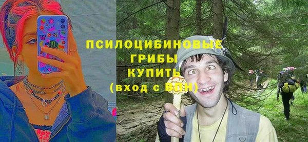 мдпв Гусь-Хрустальный